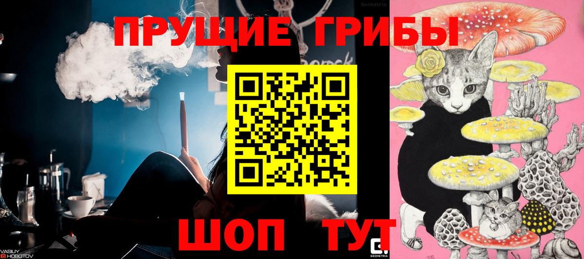 Галлюциногенные грибы Psilocybine cubensis  Вход с VPN  Галлюциногенные грибы ЛСД  что такое   Мелеуз 