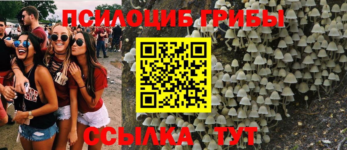 Галлюциногенные грибы ЛСД Мелеуз